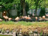 Toyama Family Park