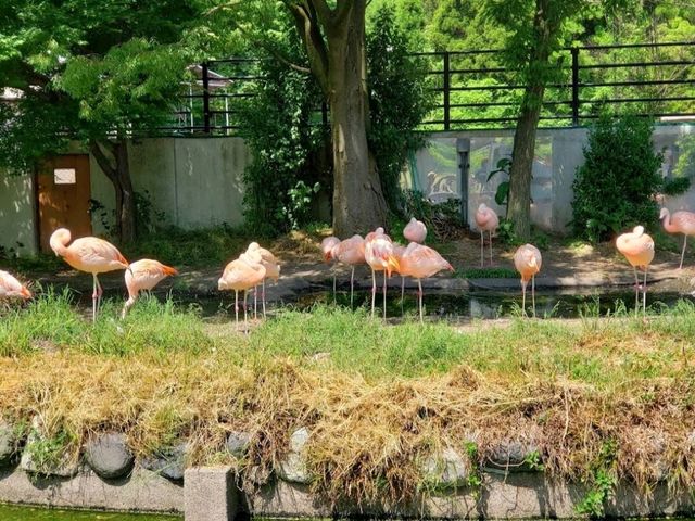 Toyama Family Park