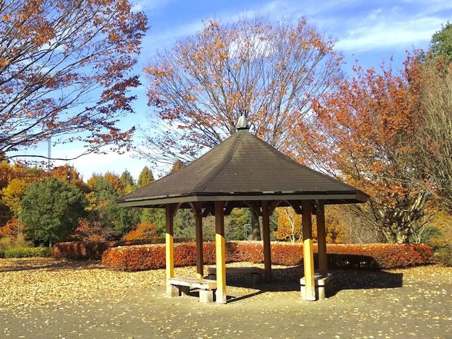 Nagaoka Park