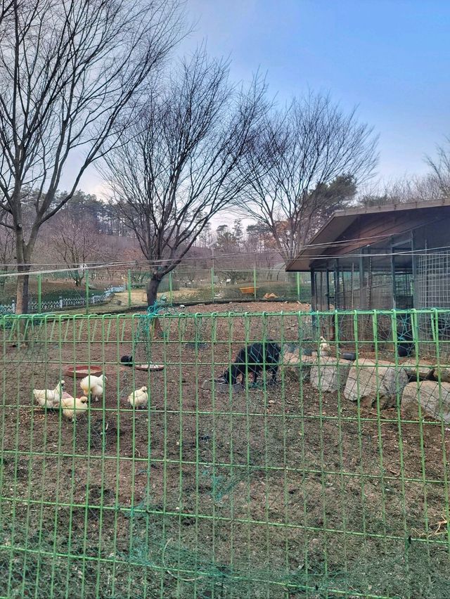 겨울엔 휴식을 봄엔 꽃나들이의 행복을 담는 곳✨️