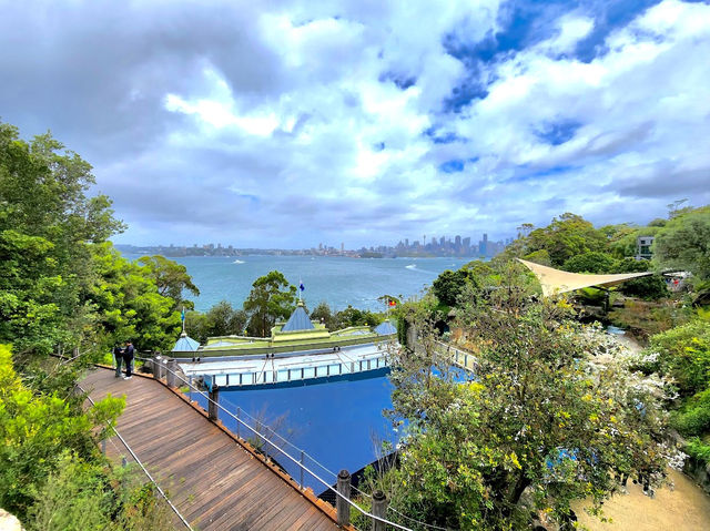 Taronga Zoo Sydney