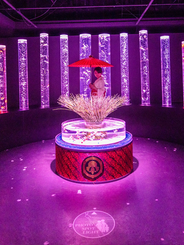 アートアクアリウム美術館 GINZA  『めっちゃ桜2024』🌸🐠🌸🐠🌸 