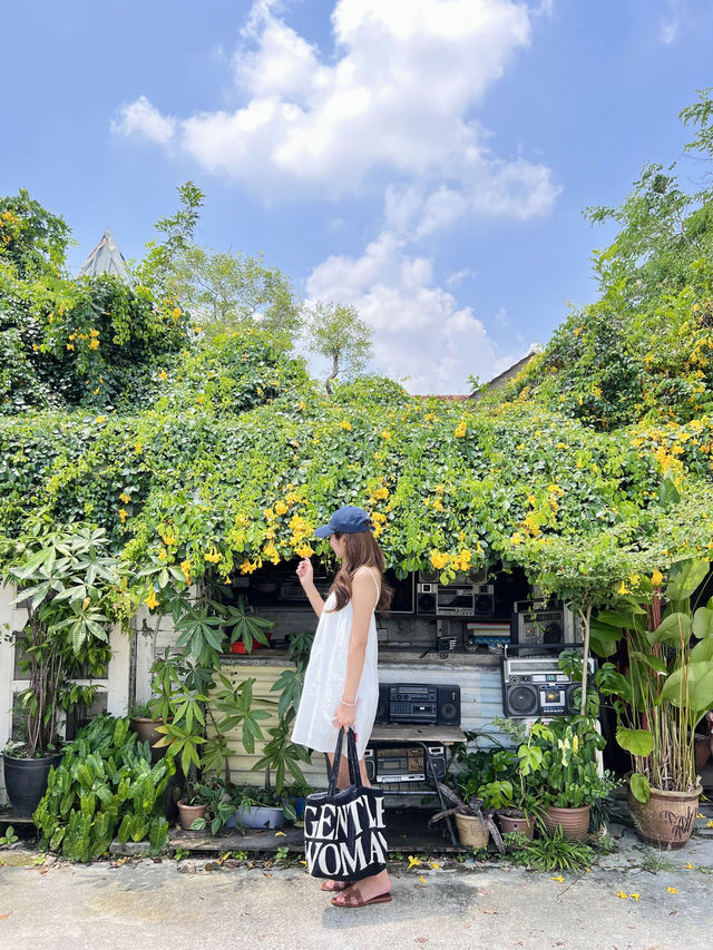 The coffee cottage, Penang🌼