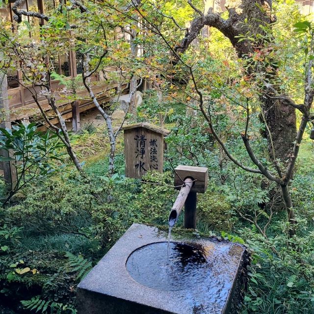 歴史ある門跡寺院⭐大原三千院⭐