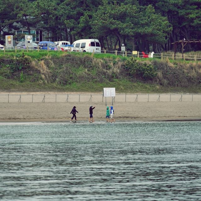🌊 이호테우해변, 낮과 밤을 아름답게 수놓는 제주의 보석