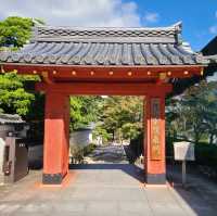 【京都】10円玉に描かれているスポット⭐平等院⭐