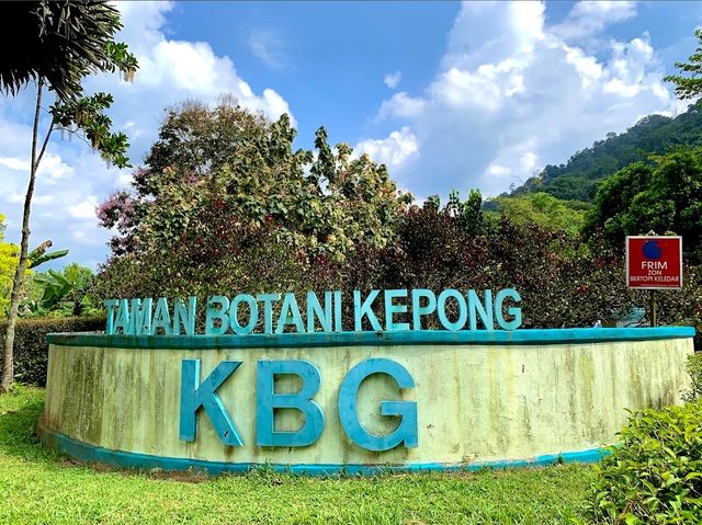 Kepong Botanic Gardens | FRIM 