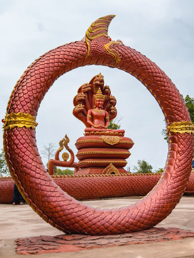 วัดป่าดงหนองตาล บ่อน้ำพญานาคแห่งใหม่ แห่งอุดรธานี