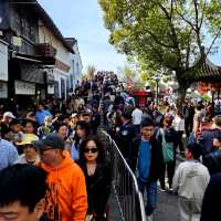 天氣與人很給力的朱家角
