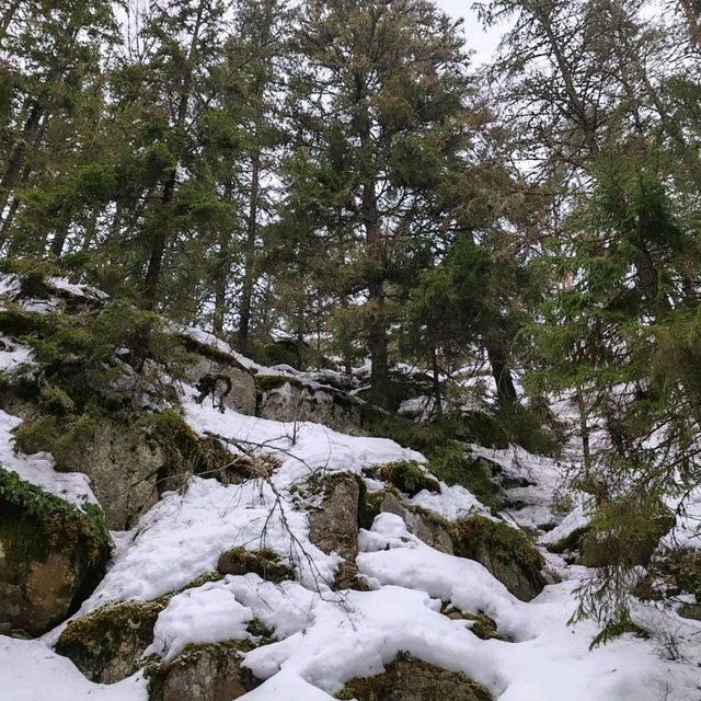 Winter Hike at Nuuksio National Park, Helsinki