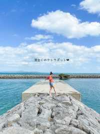 【黒島】石垣島から日帰りでも行けるのどかな島