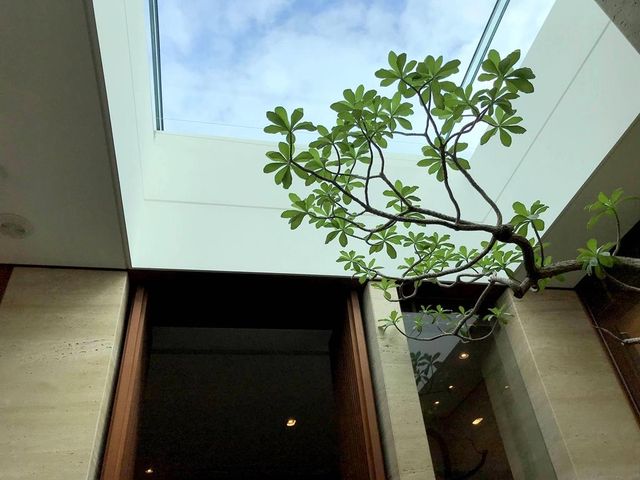 北投三二行館:極致日本風情,寧靜舒適的櫻房體驗! 北投三二行館:極致日本風情,寧靜舒適的櫻房體驗!