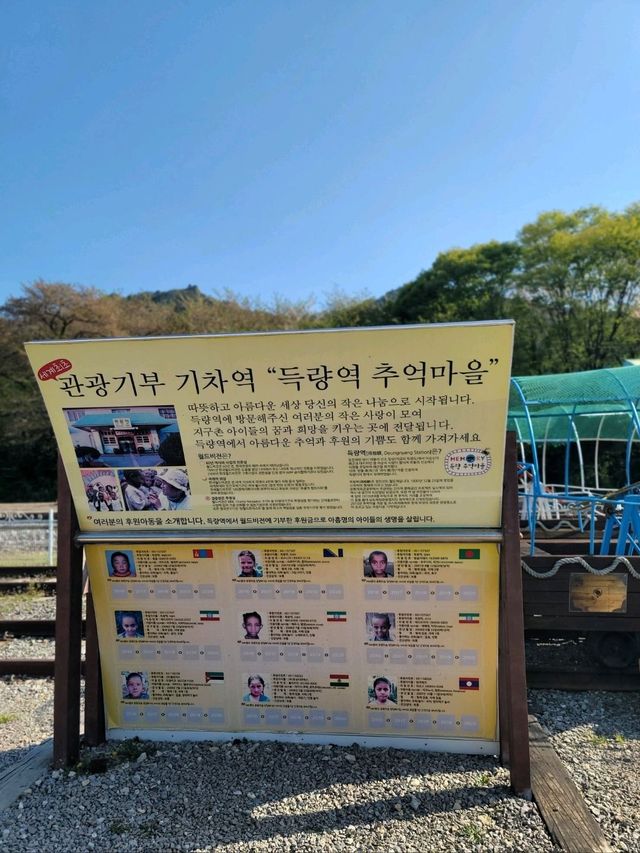 봄향기 피어나던 보성 득량역🌸