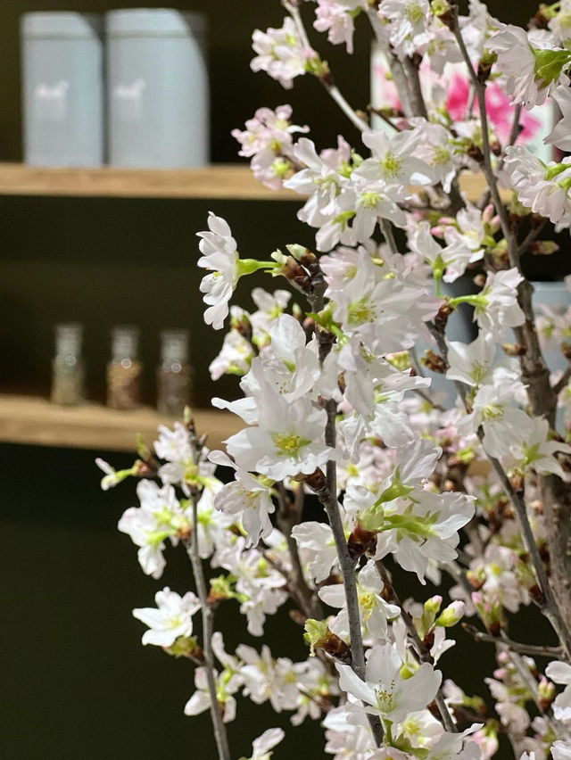 【福岡カフェ】九州各地のハーブやフルーツを使ったお茶が楽しめる