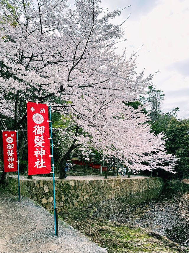 ⛩️想祈求頭髮健康？快來這個唯一的神社⛩️ 