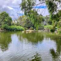 Cleland Wildlife Park
