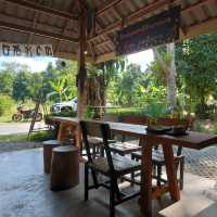 ร้านบ้านชาในป่าฝน Tea House in Rainforest