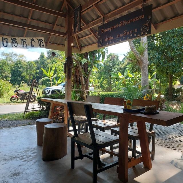 ร้านบ้านชาในป่าฝน Tea House in Rainforest