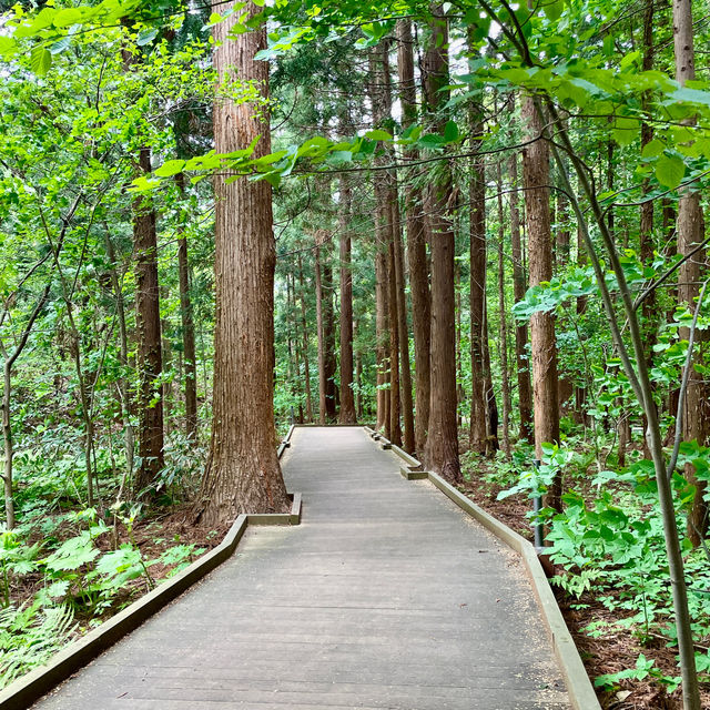 Maruyama: Sapporo's Scenic Hiking Gem Maruyama: Sapporo's Scenic Hiking Gem