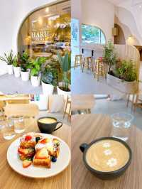 Haru Cafe A Cozy Afternoon