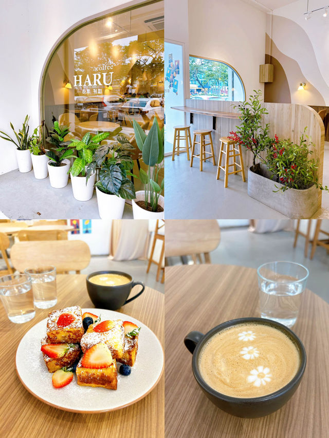 Haru Cafe A Cozy Afternoon