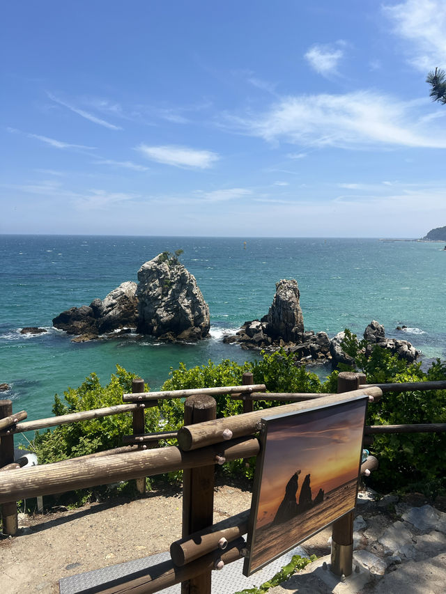 추암 촛대바위, 동해의 숨은 보물 🌊🌿