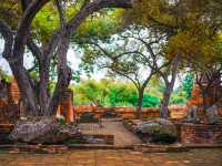 อุทยานประวัติศาสตร์พระนครศรีอยุธยา