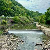 「湖北丹江口大壩景區：春季水利工程勝地，宏偉建築與櫻花景緻令人嘆為觀止」