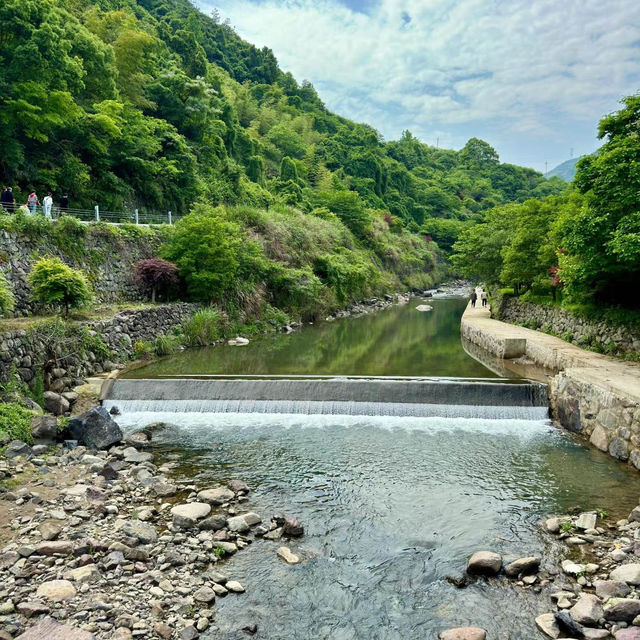 「湖北丹江口大壩景區：春季水利工程勝地，宏偉建築與櫻花景緻令人嘆為觀止」