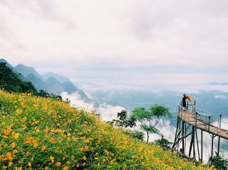 Săn Mây Hang Kia