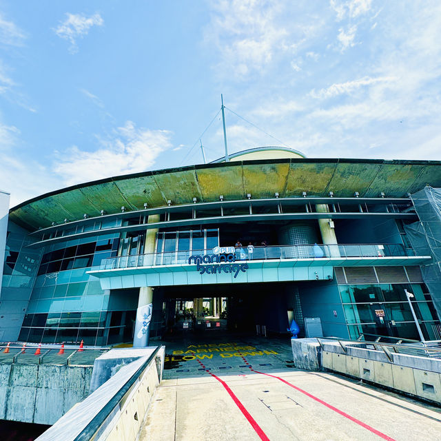 🇸🇬 Popular cycling area at Marina Barrage