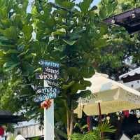 🍶 Shrimpday Farm Cafe คาเฟ่สุดชิลล์