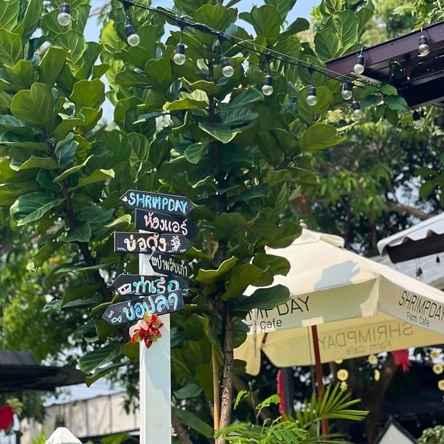 🍶 Shrimpday Farm Cafe คาเฟ่สุดชิลล์