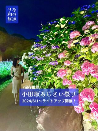 ～神奈川縣～繡球花點燈絕景小田原城 2024/6/1～6/16！ 小