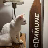 The Commune Restro Bar