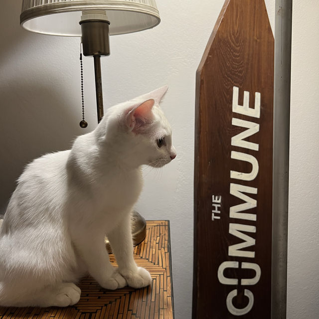 The Commune Restro Bar