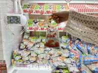 【🇯🇵東京新景點🇯🇵】Gigo總本店：翻新後的夾公仔樂趣無窮，專業指導員助你成功！週末假日熱鬧非凡！