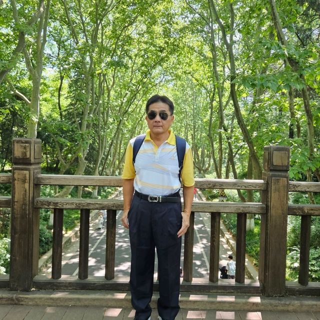 初夏遊南京，漫步明孝陵