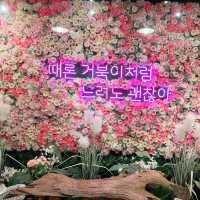 ⭐️ 거북이가 한가득! 먹이체험 가능! “거부기 카페”⭐️