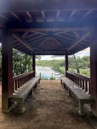 【福岡観光/自然】森林浴
