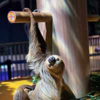 沖繩室內動物園 DMM水族館