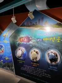 가족나들이코스추천 국립해양박물관