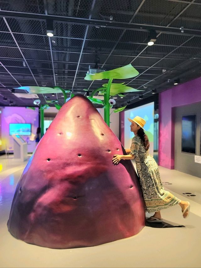 영도에 생긴 조내기 고구마 기념관🍠