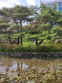 [正能量旅遊] 汝矣島公園-首爾-城市悠閒散步地點