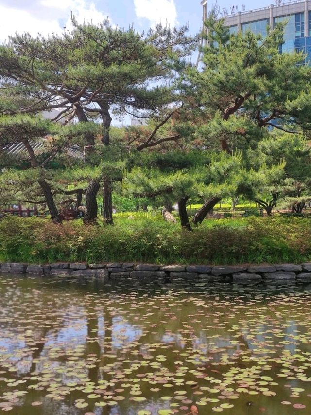 [正能量旅遊] 汝矣島公園-首爾-城市悠閒散步地點