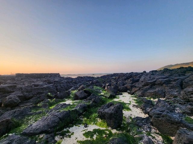 【濟州】犀牛峰海灘：春夏油菜花盛開，特色黑色火山岩灘。適合日落時分