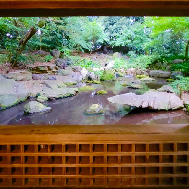 〜東京都〜六義園(りくぎえん)美しい日本庭園！穴場スポット