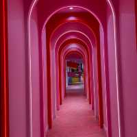 Museum of Icecream