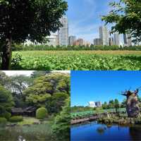 「上野恩賜公園：東京最大公園，適合休憩和旅遊」