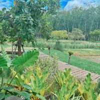 โอบบ์ Farm&Cafe 